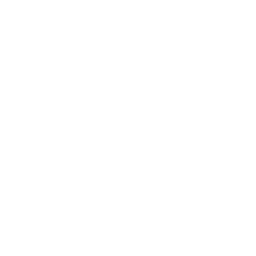 globe (1) globe
